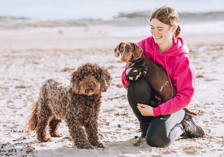 Business listing image