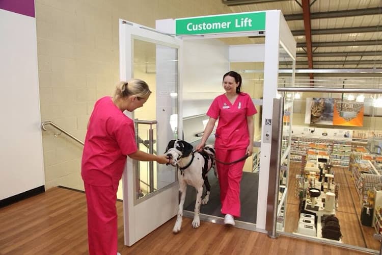 Business listing image