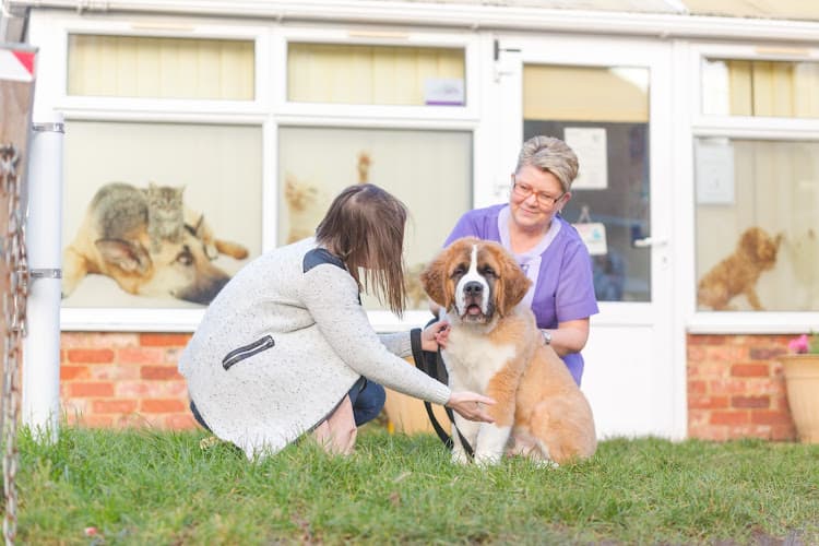 Business listing image