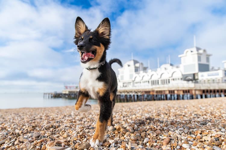 Business listing image