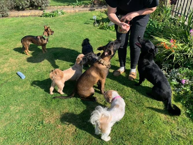 Business listing image