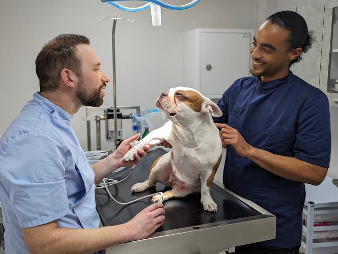 Business listing image