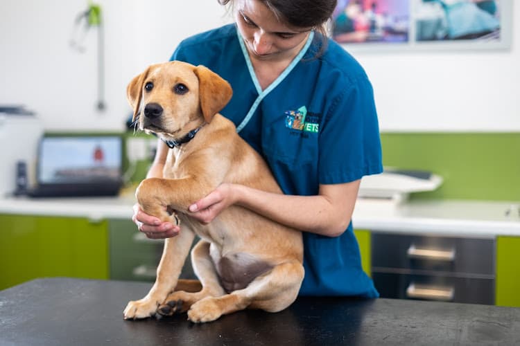 Business listing image