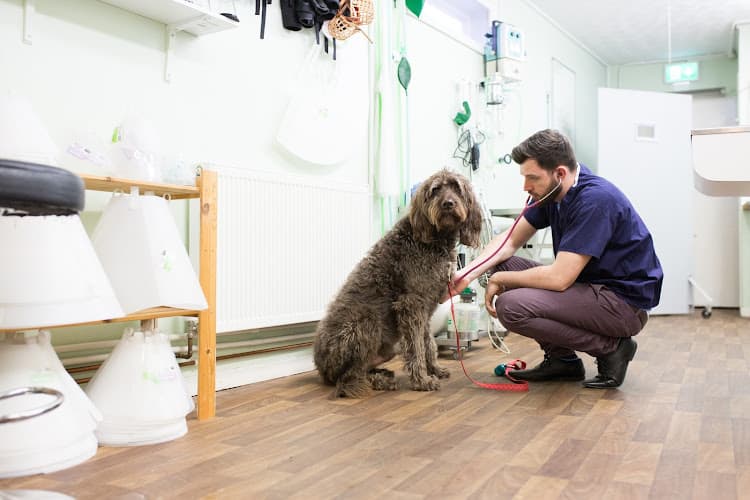 Business listing image