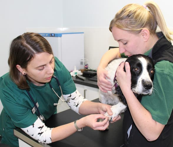 Business listing image