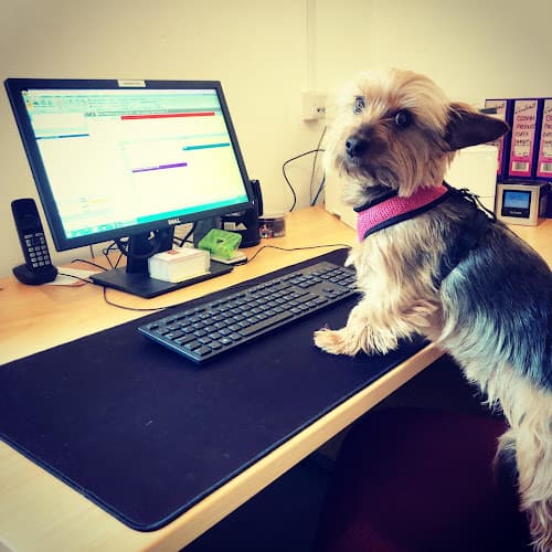 Business listing image