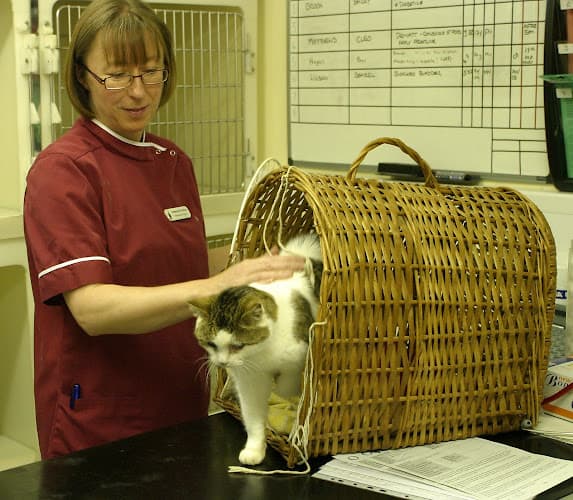 Business listing image