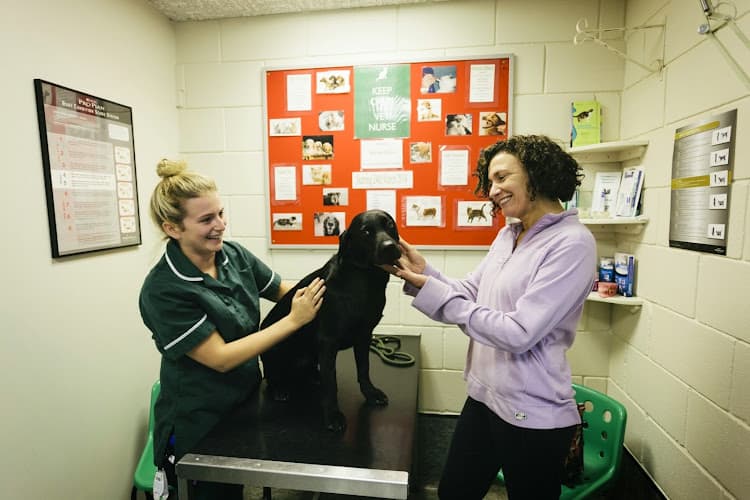 Business listing image