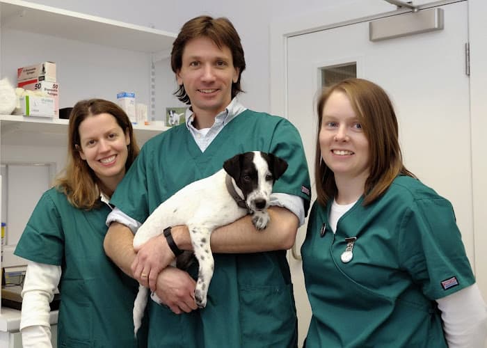 Business listing image