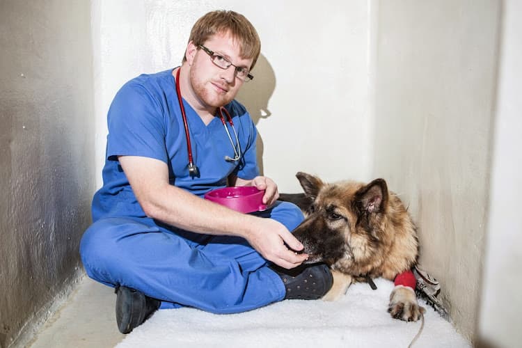 Business listing image