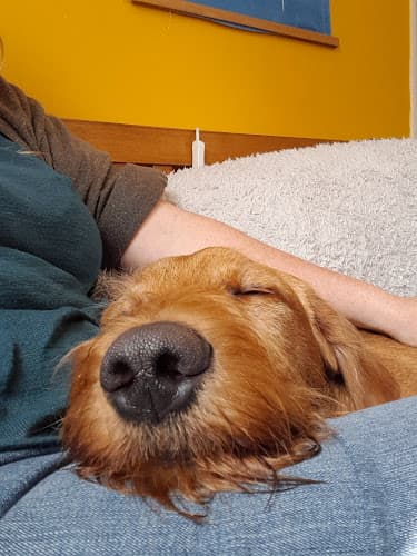 Business listing image