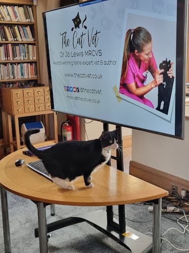 Business listing image