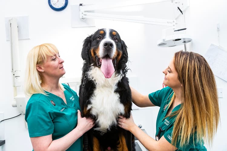 Business listing image