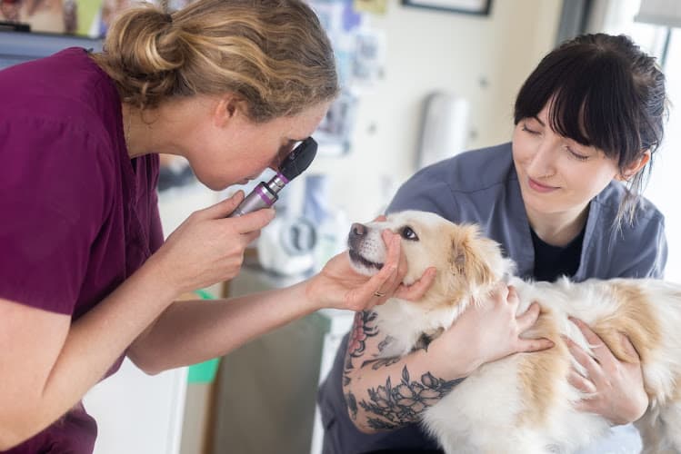 Business listing image