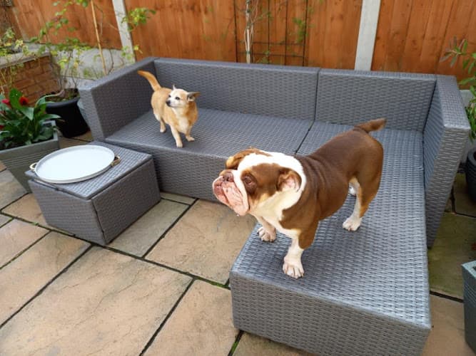 Business listing image