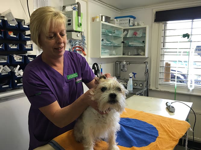 Business listing image