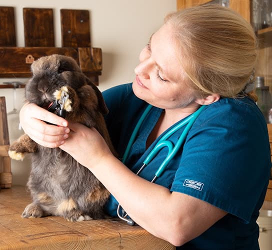 Business listing image