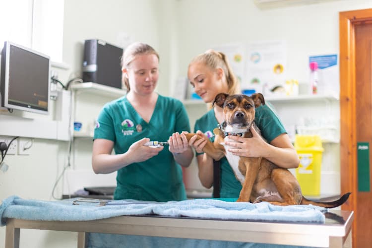 Business listing image