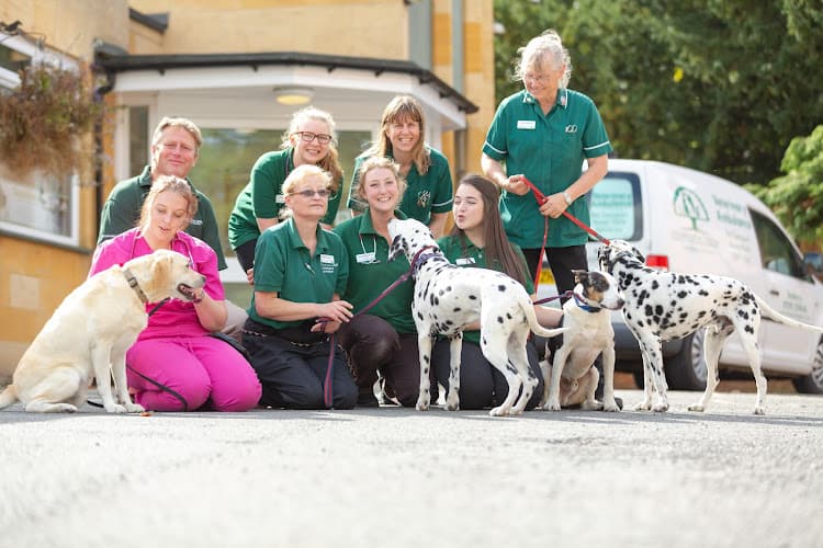 Business listing image