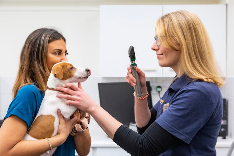 Business listing image