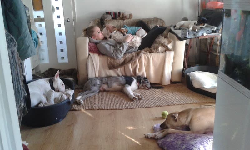 Business listing image