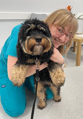 Business listing image