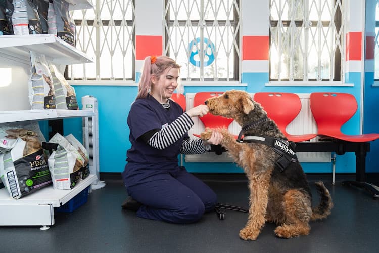 Business listing image