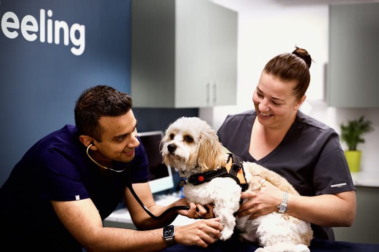 Business listing image