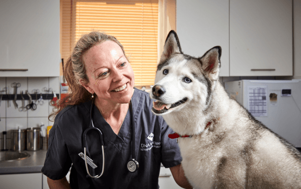 Business listing image