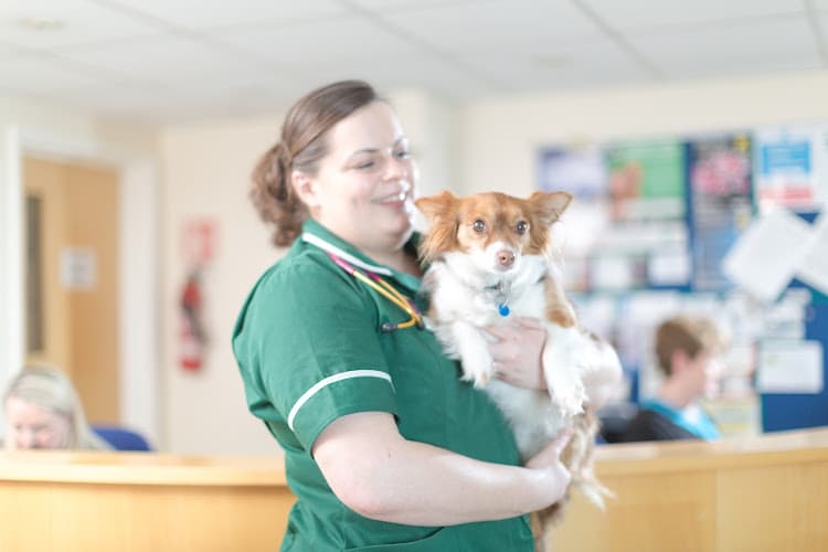 Business listing image