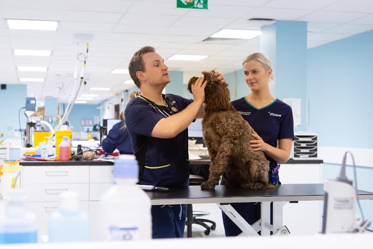 Business listing image