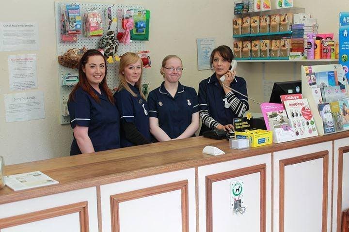 Business listing image