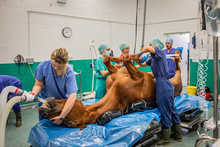 Business listing image