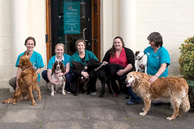 Business listing image