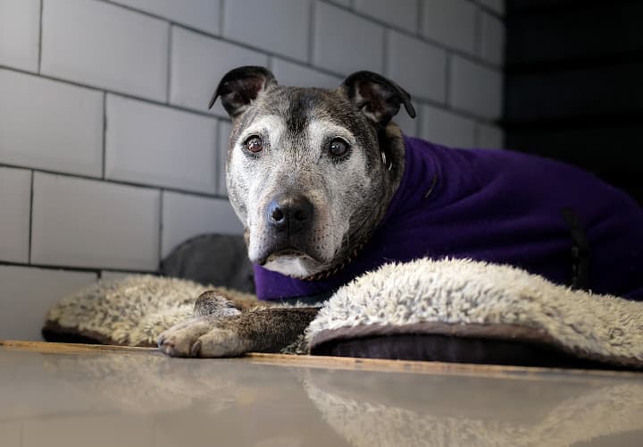 Business listing image