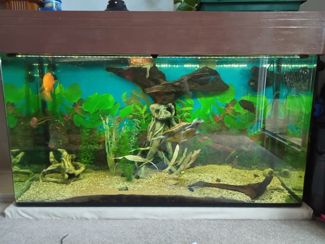 Business listing image