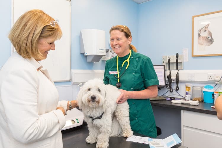 Business listing image