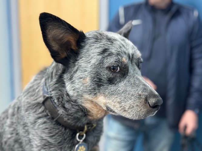 Business listing image