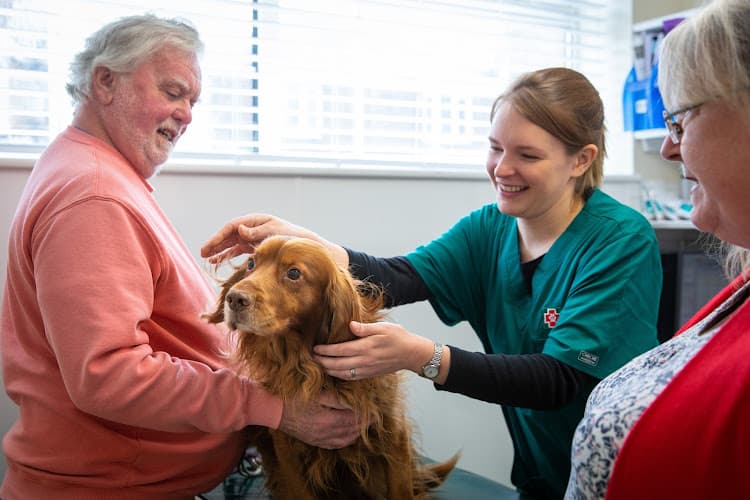 Business listing image