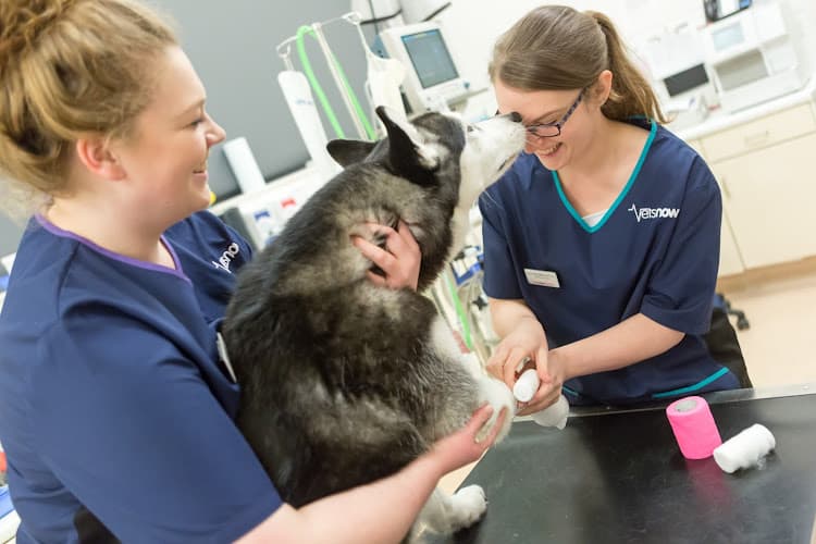 Business listing image