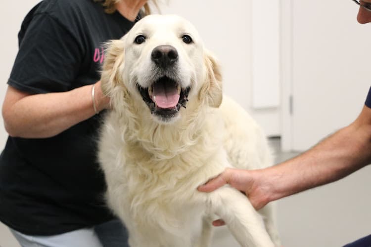 Business listing image