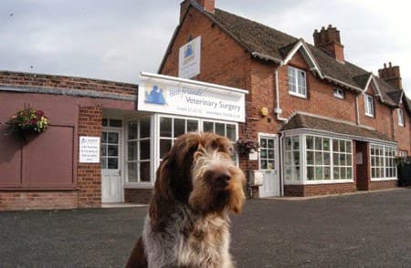 Business listing image