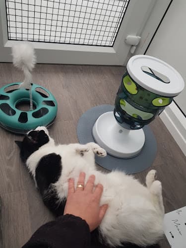 Business listing image