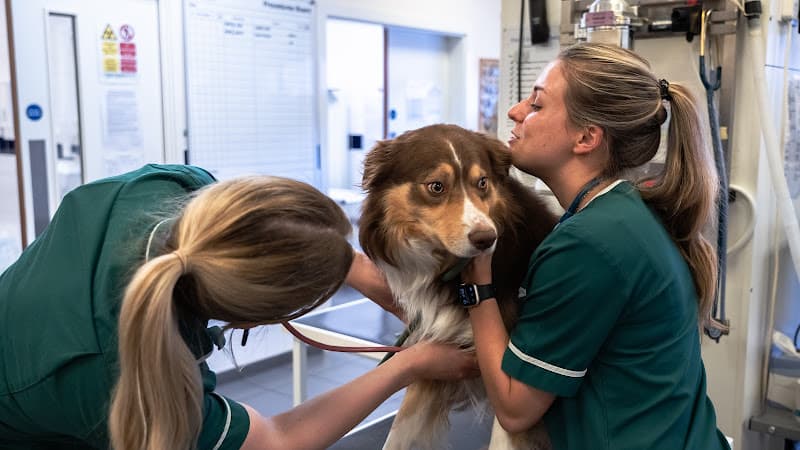 Business listing image