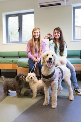 Business listing image