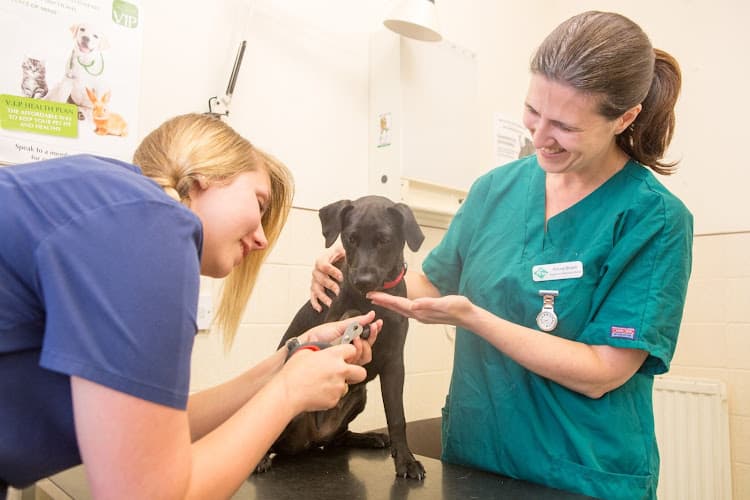 Business listing image