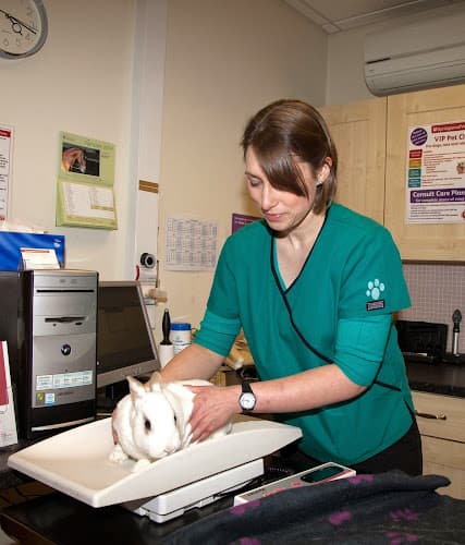 Business listing image