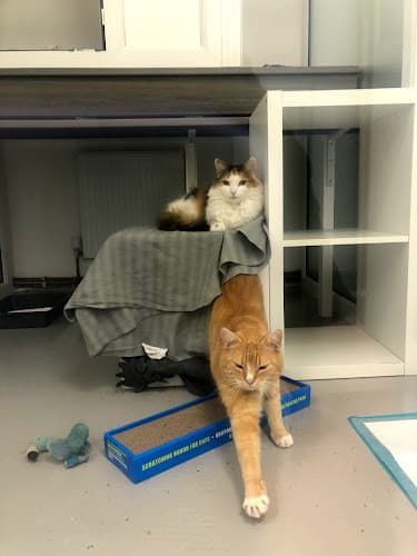 Business listing image