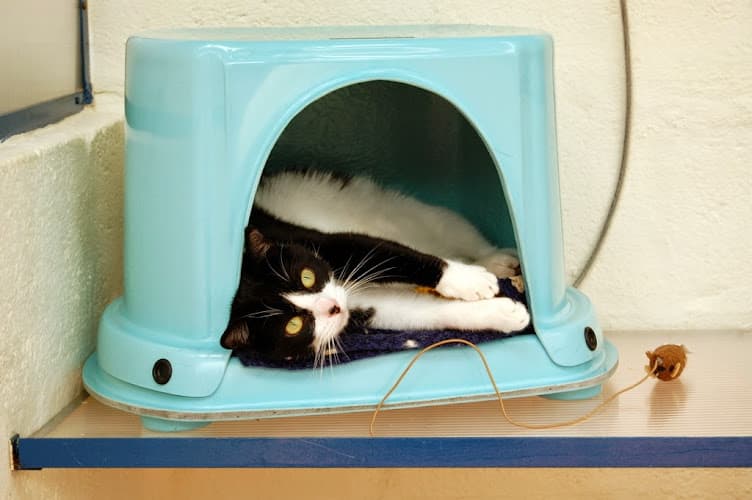 Business listing image