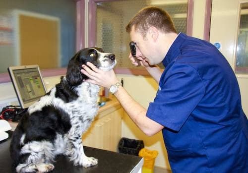 Business listing image